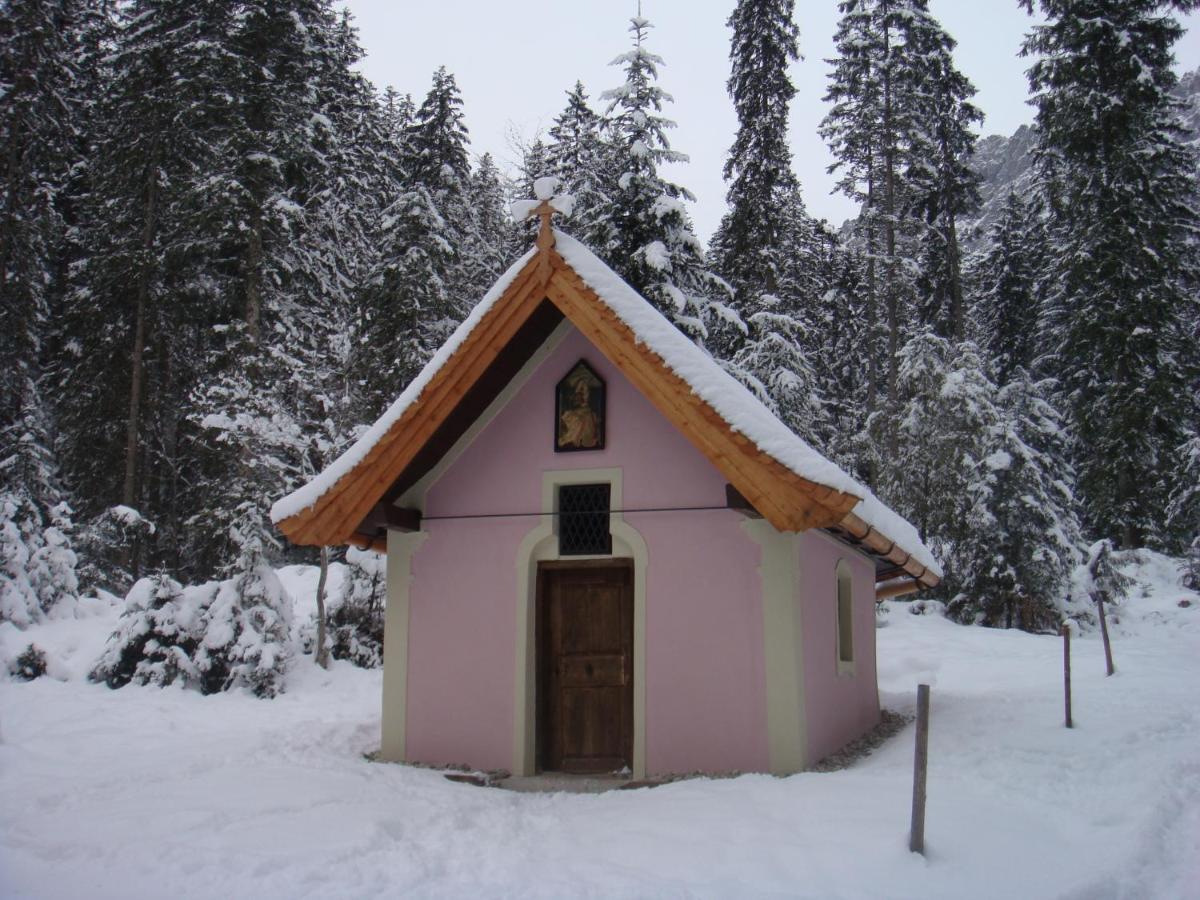 Otto Steiner Appartements Pension Ellmau & Wilder Kaiser 외부 사진